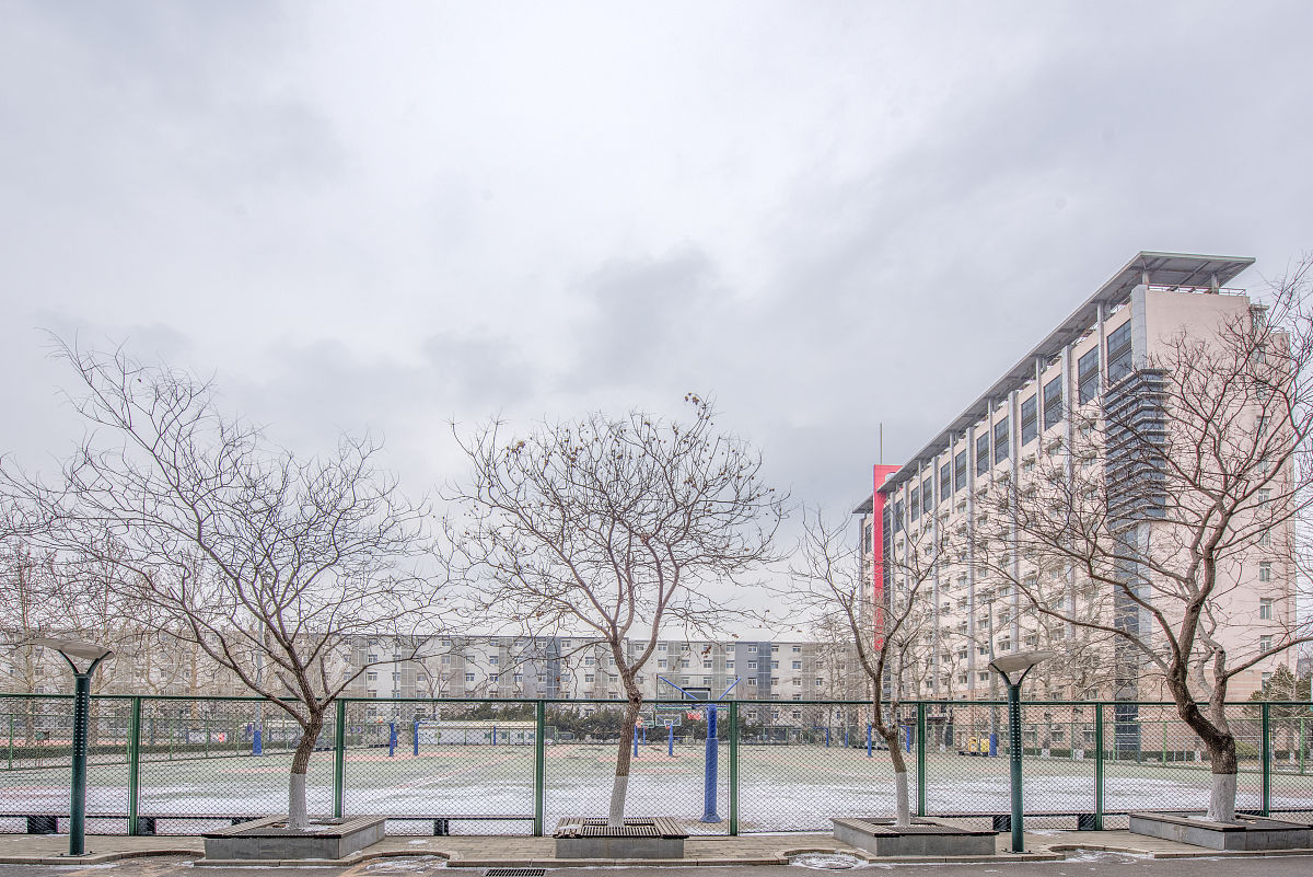 北京服装学院信息管理与信息系统专业怎么样？就业前景、课程设置及师资力量分析