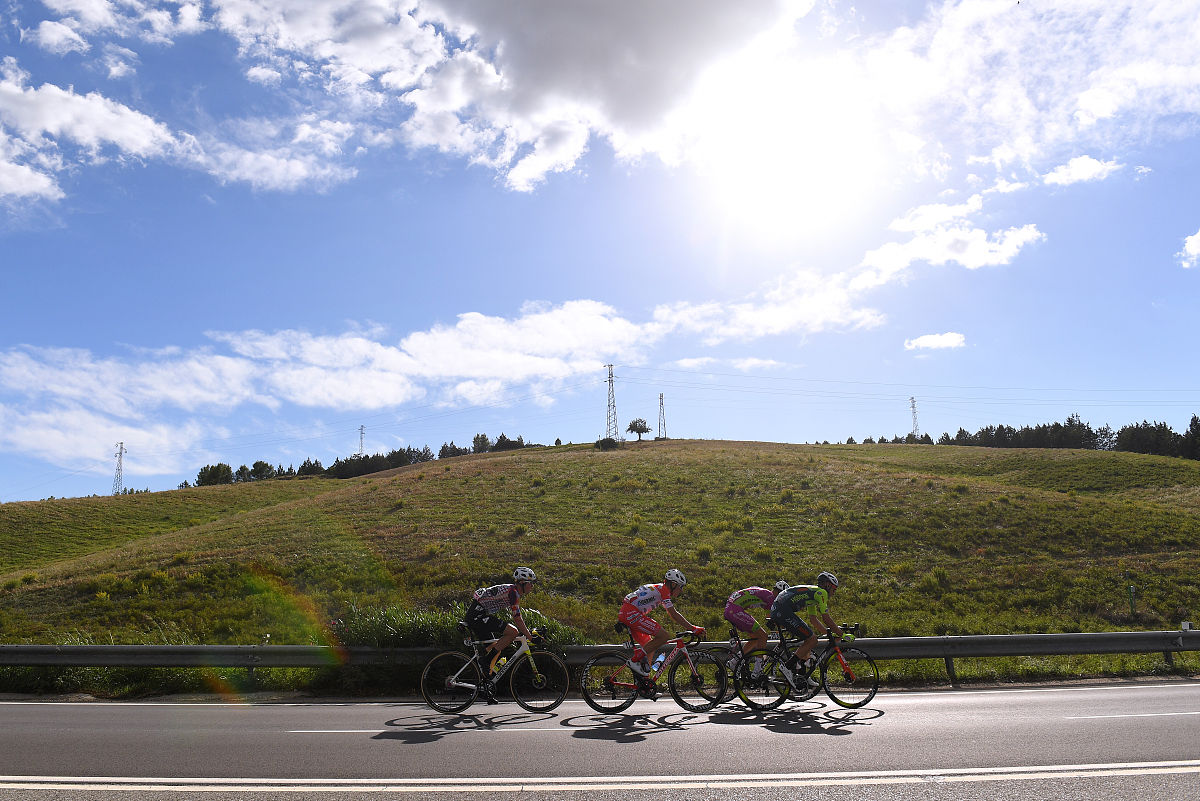 破骨细胞：功能、作用机制及相关信号通路