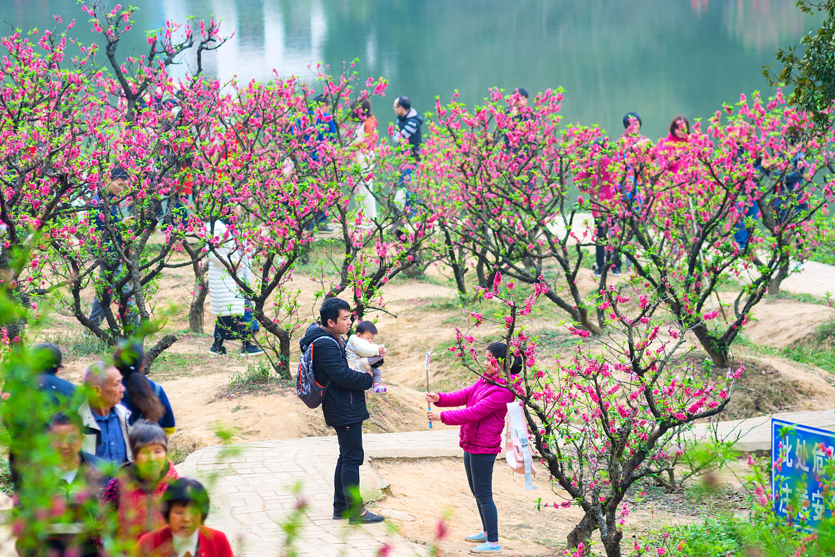 佛山市南海区第一中学地址在哪里-怎么去