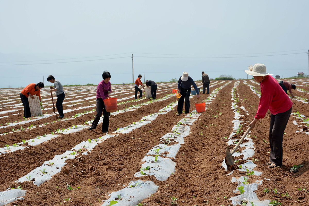 河南农业职业学院计算机网络技术专业怎么样