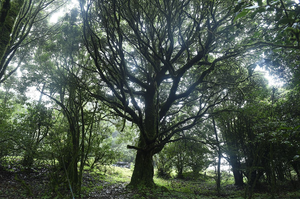 宜宾市南溪职业技术学校2022年招生简章