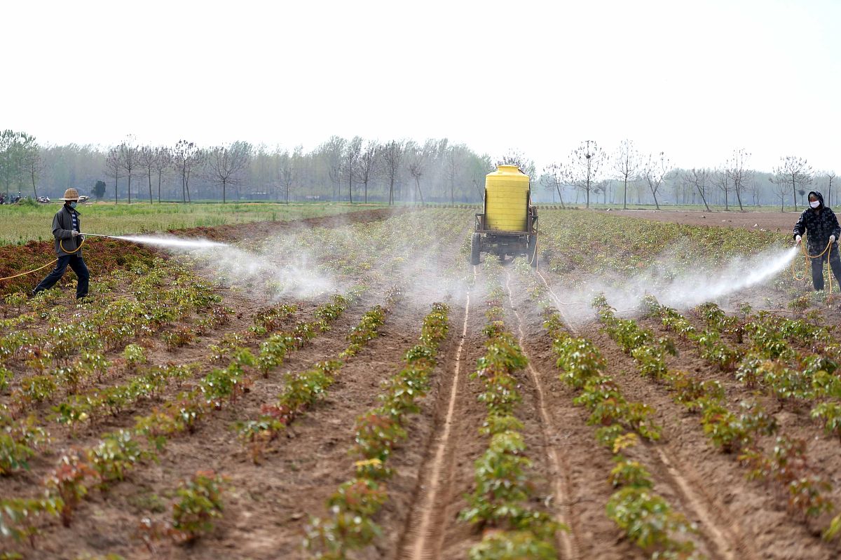 除草剂：农业生产中的“化学锄头”及其利弊分析