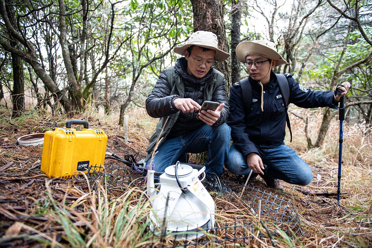 森林土壤学实习总结：三天的奇妙旅程与深刻收获