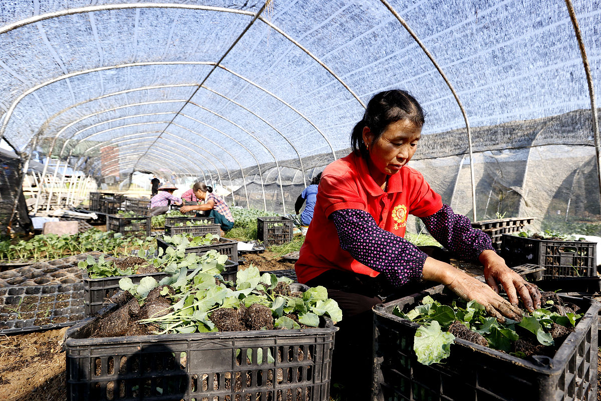 江西现代技师学院会计专业招生要求有哪些？