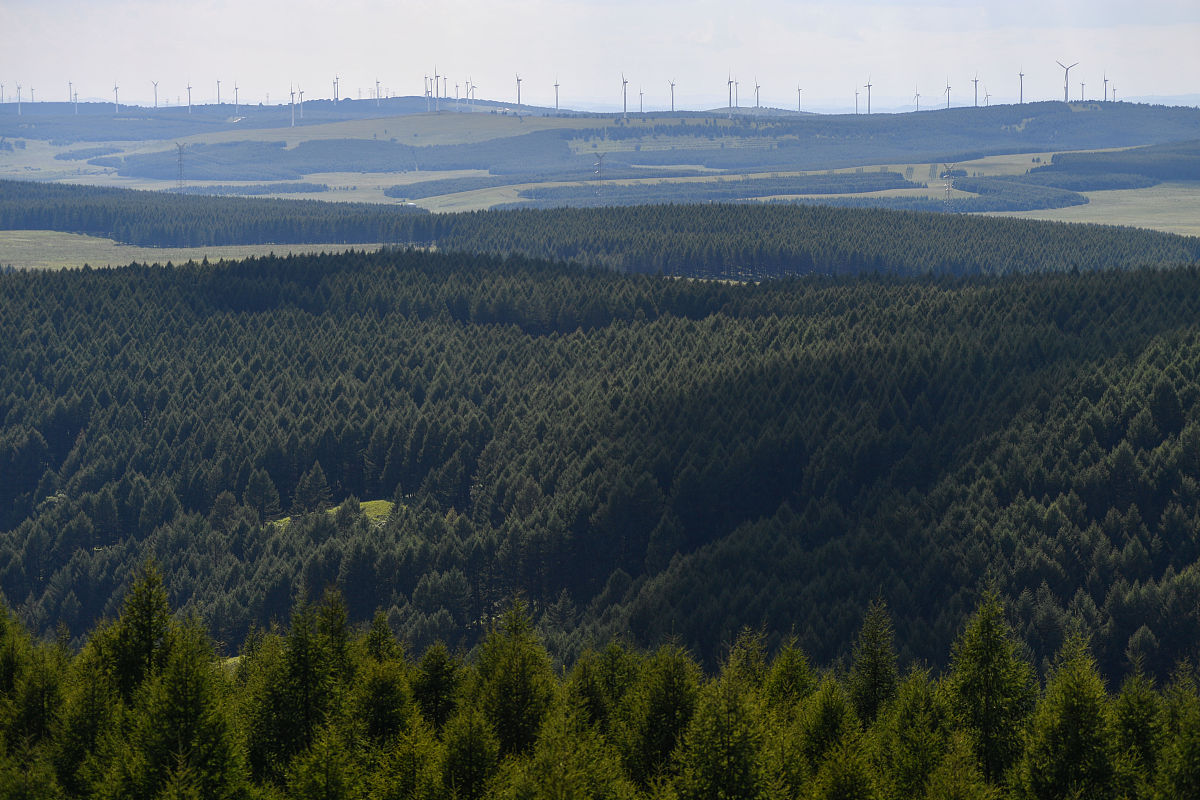 山西林业职业技术学院森林生态旅游专业涉及哪些课程