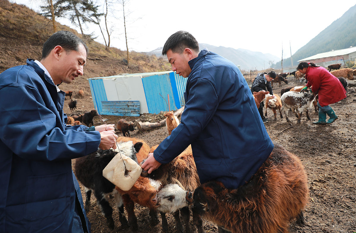 泉州经贸职业技术学院会计与统计核算专业怎么样