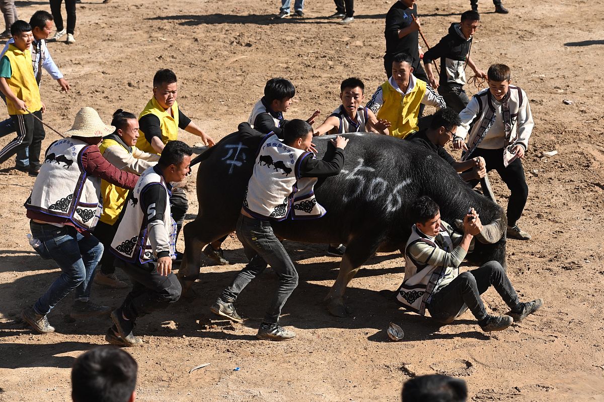 黔南民族卫生学校乘车路线 - 详细交通指南