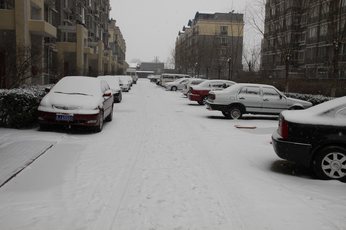 北京南部一小区里已被大雪覆盖.