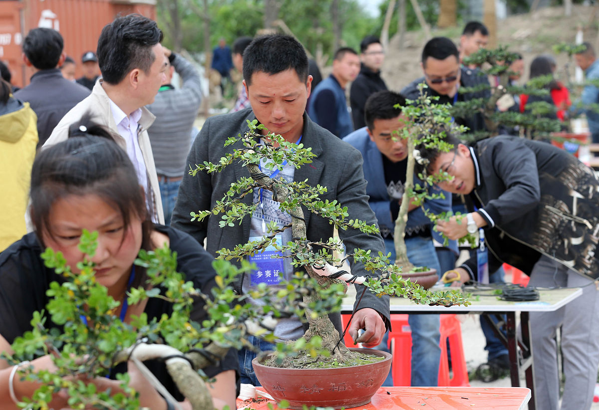 红河州财经学校电子商务专业好就业吗