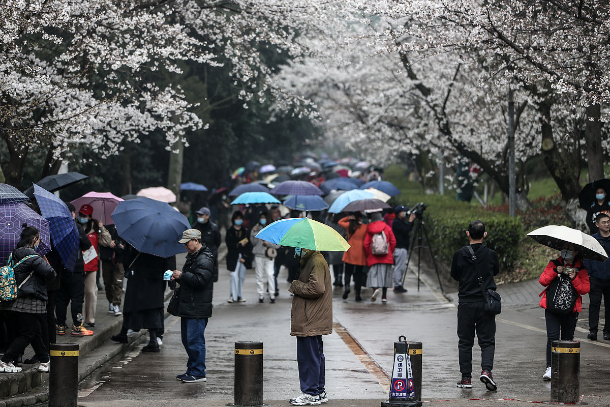 湖北今年成考没有考过怎么办？可以报考国开和今年成考同期入学毕业