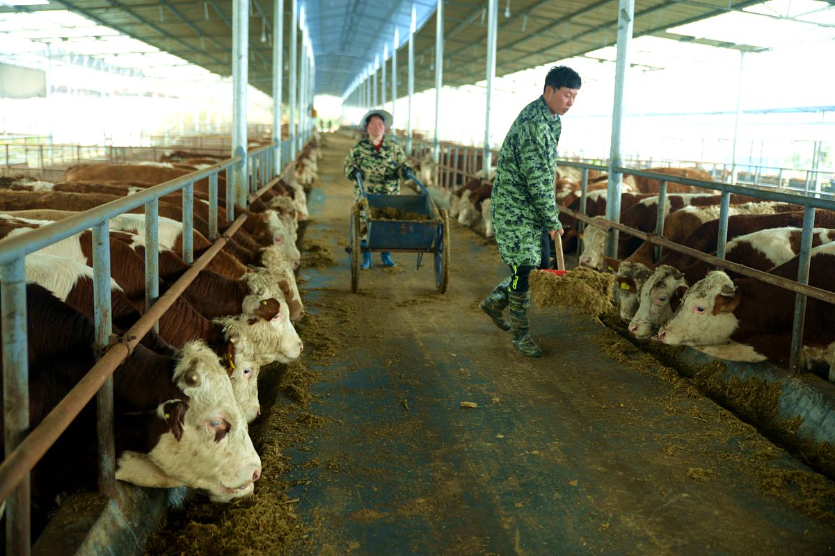 广西生态工程职业技术学院财务管理专业怎么样？优势分析