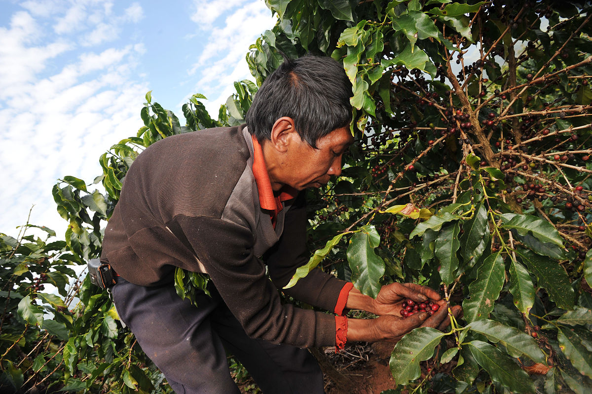 云南省亚热带作物技术学校怎么样_学校地址在哪里