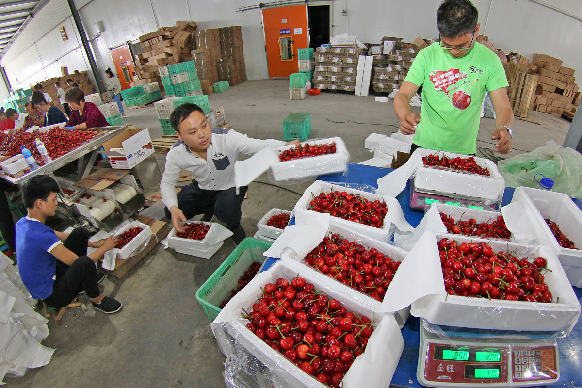 烟台设计专业技校哪家强？选择指南及职业发展建议