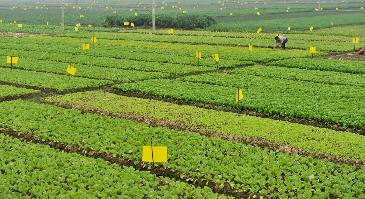 广西农业技术推广相关案例