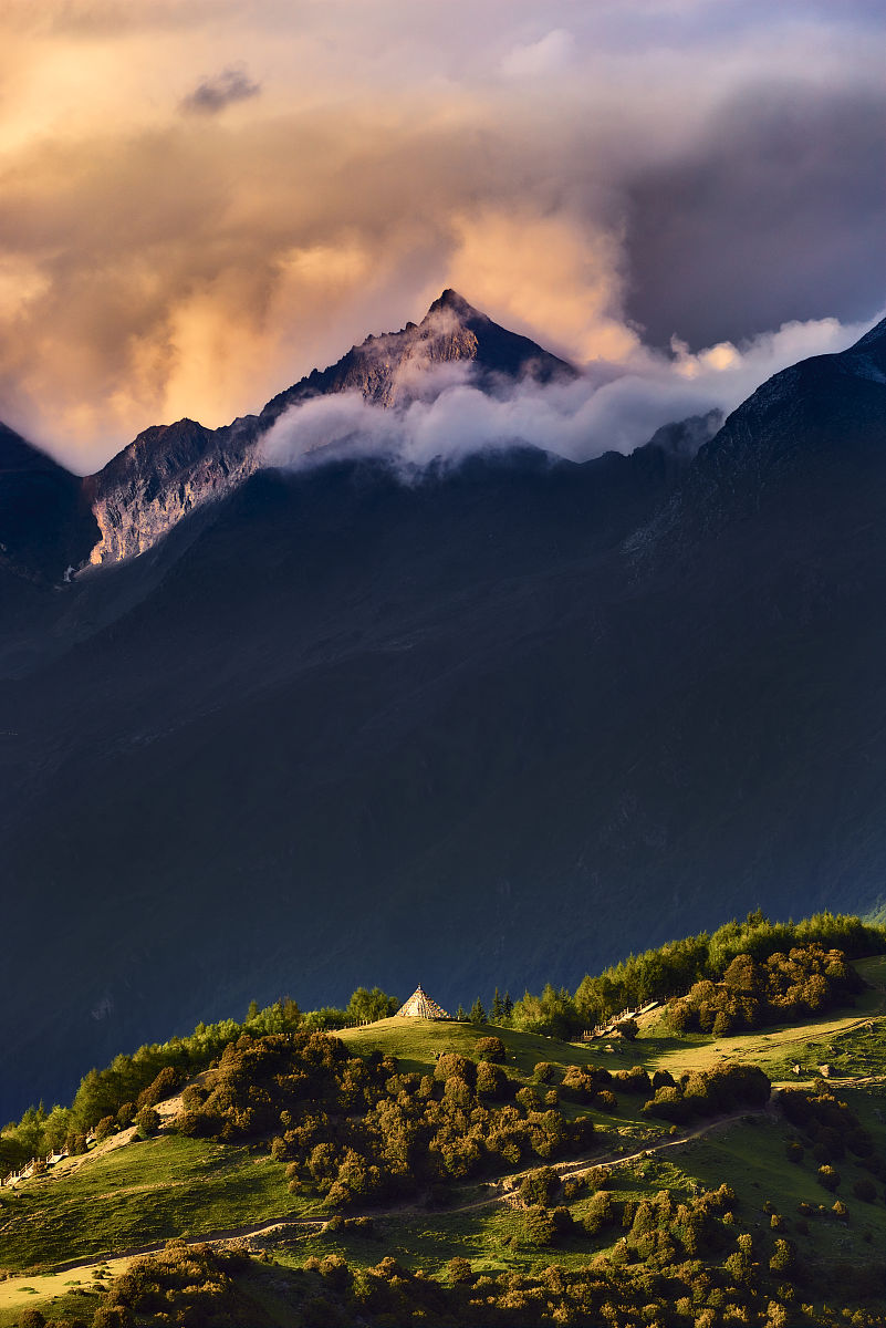 四川卫生学校2019年招生专业列表 - 多元选择，成就未来