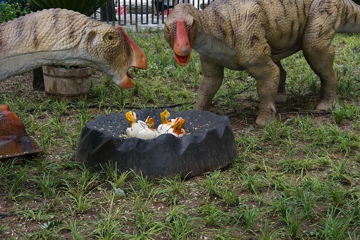 有一个被称为奇幻之地的神秘世界。在这个世界里阿坤老师拥有一个魔法动物园。园内住着三种奇特的动物：鸡有 2 只脚没有角。牛有 4 只脚有 2 个角。麒麟有 4 只脚有 1 个角。你只知道动物园中动物的总数所有动物的脚的总数以及所有动物的角的总数。请你帮助阿坤老师根据以上信息计算出动物园中麒麟的数量。输出仅一行表示麒麟的数量。样例输入10 28 4copy样例输出4利用python代码实现