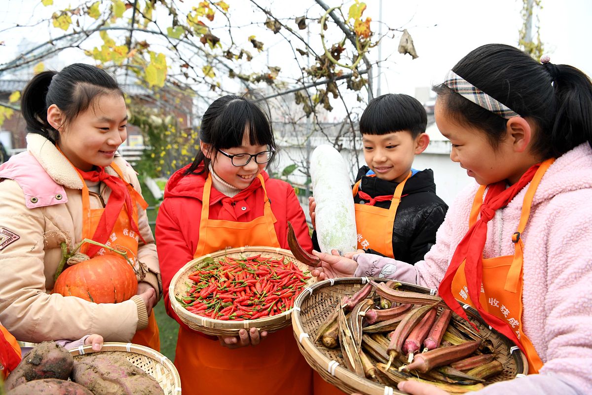 今天收获满满！