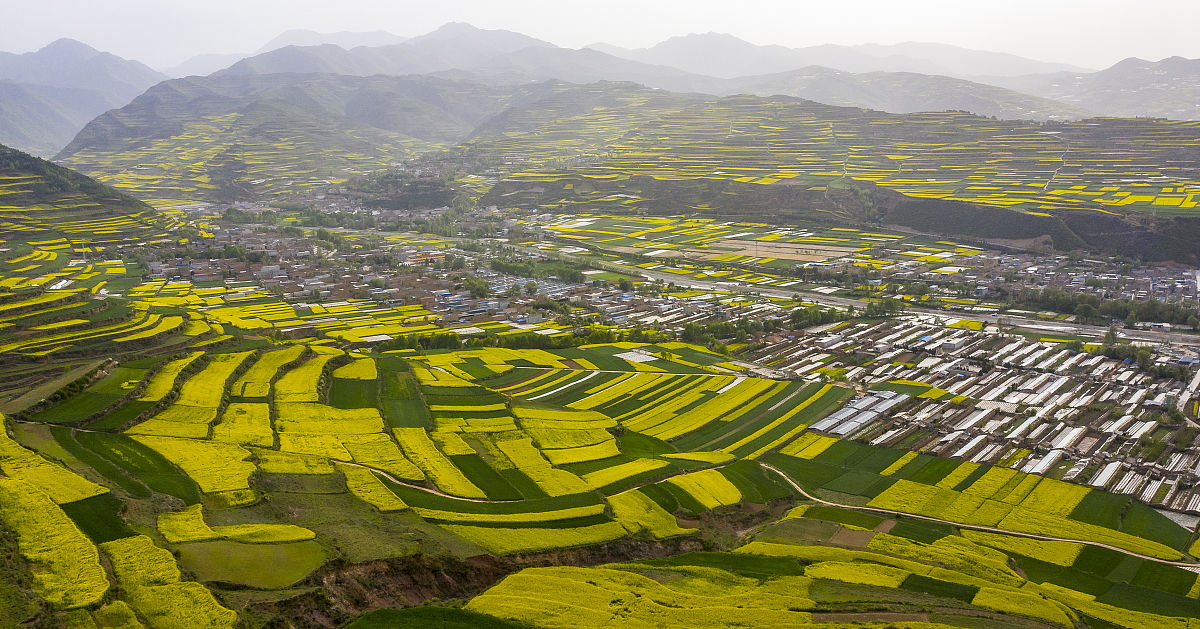 农村普通村干部入党积极分子思想汇报9篇(时间跨度2021.11-2024.1)