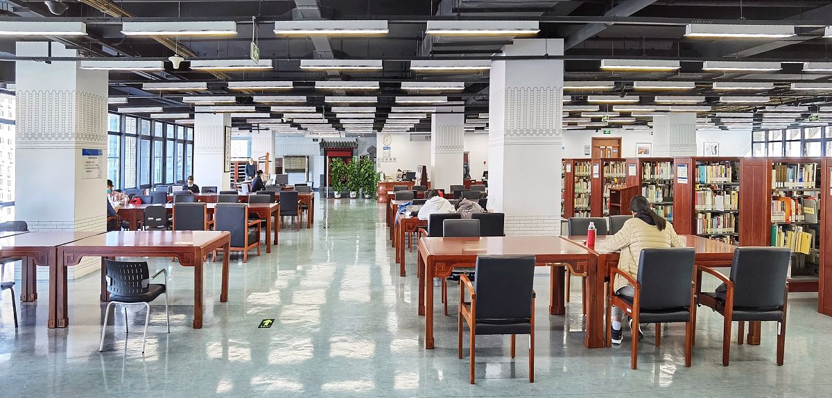 论述深圳市公共图书馆服务中公共图书馆缺乏专业馆员是导致服务水平低下馆员素质欠缺问题的原因写成一段话格式不少于300字。