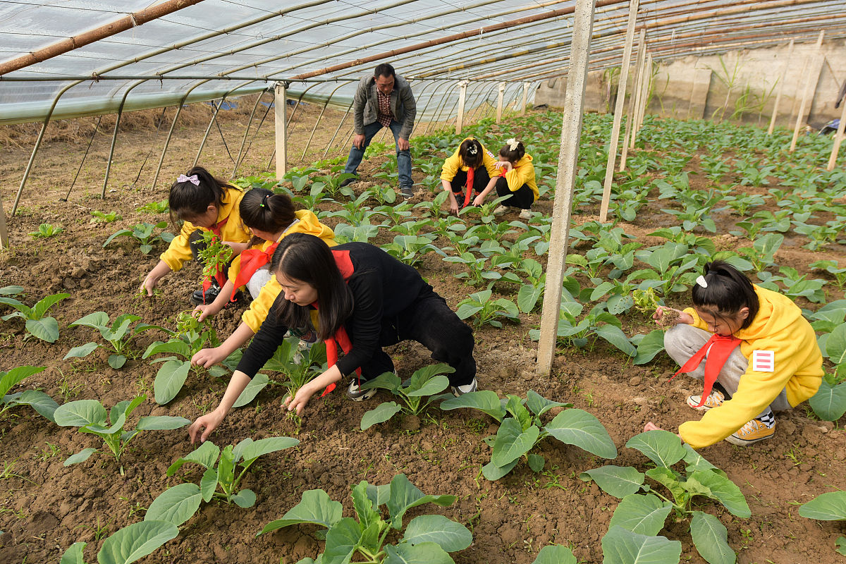日照农业学校2023年有哪些专业
