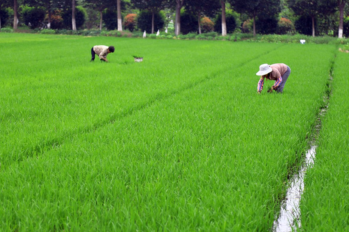 江苏建湖中等专业学校2022年招生专业-优势专业推荐