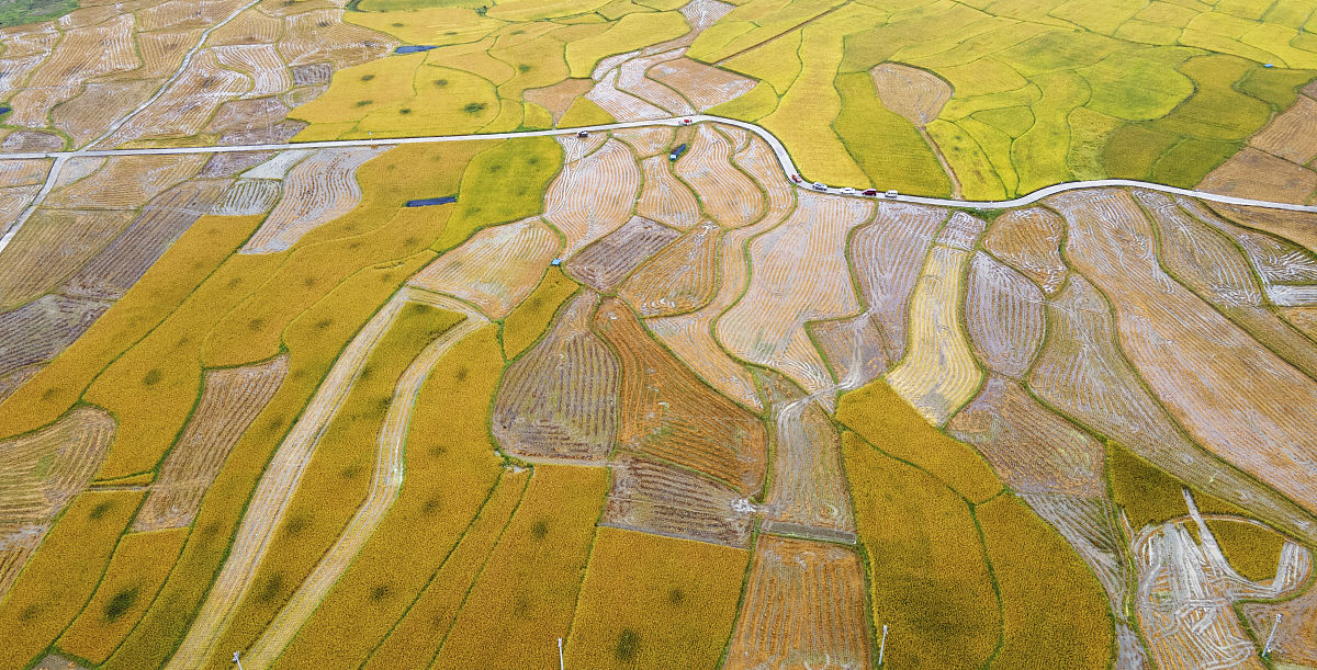 遵义航空职业学校就业薪资待遇好不好