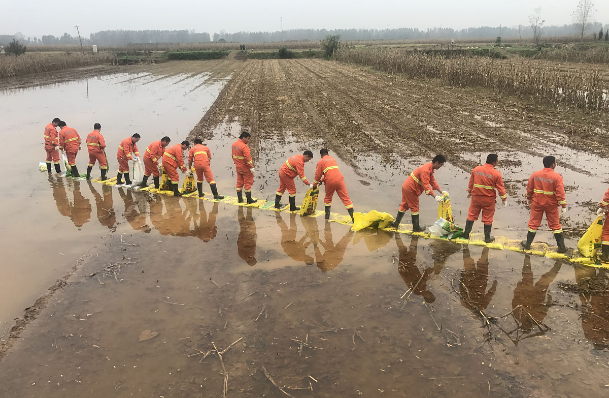 20条回复：河北防汛救灾进行时
