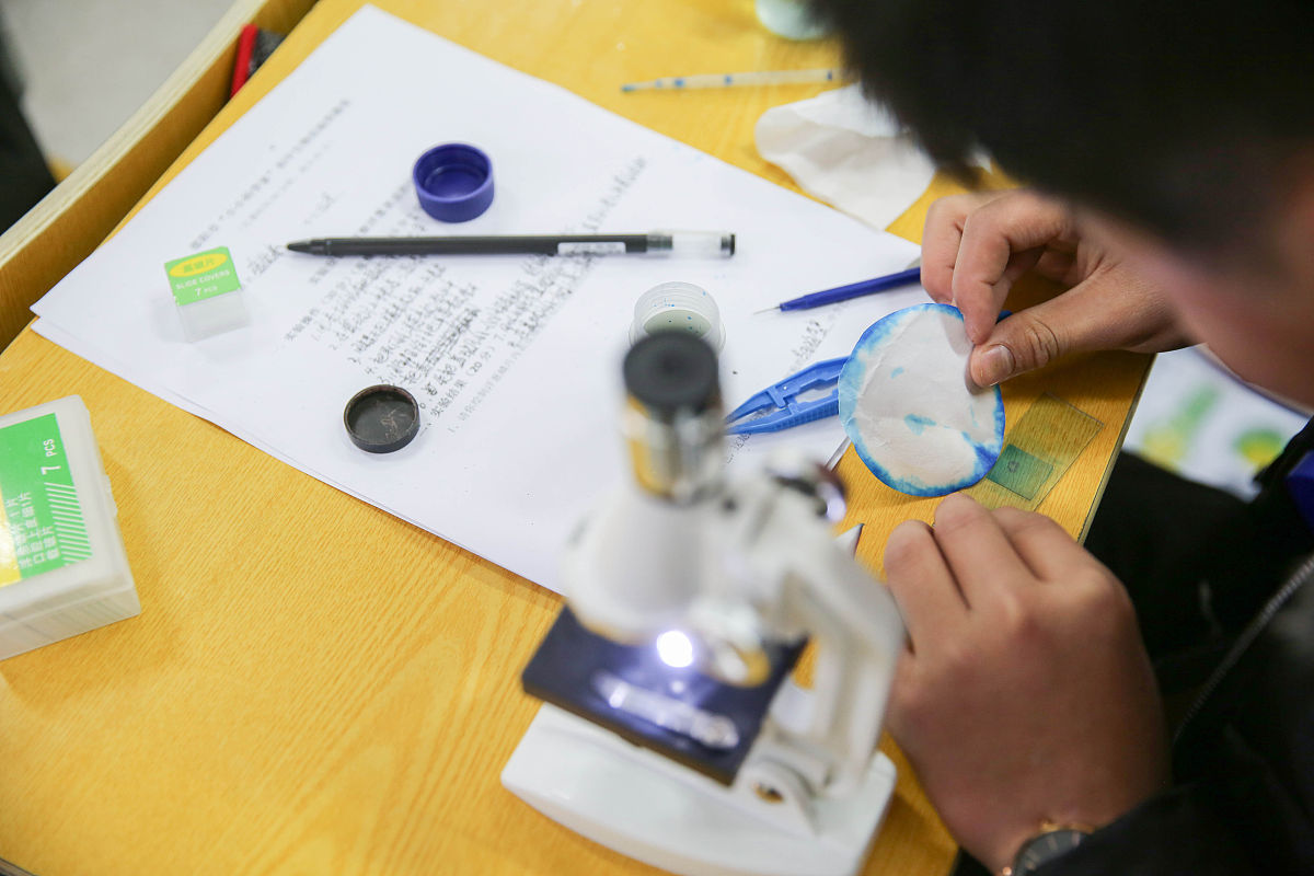 湖南五年一贯制学校：优质教育模式，助力学生成长