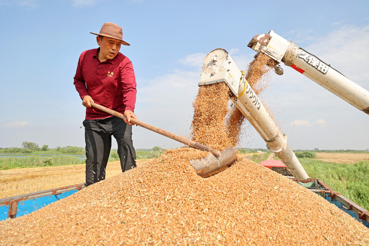论述马鞍山地区旱作玉米生产现状及增产途径研究的研究目的写成一段话不少于300字。