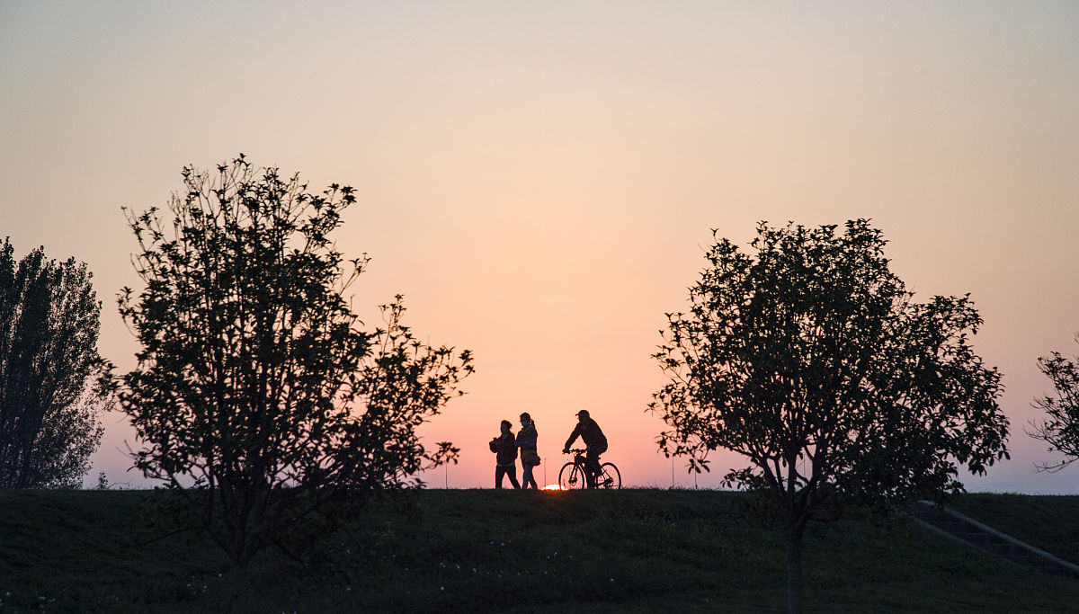 慈父与孩童：湖边小亭的温馨剪影