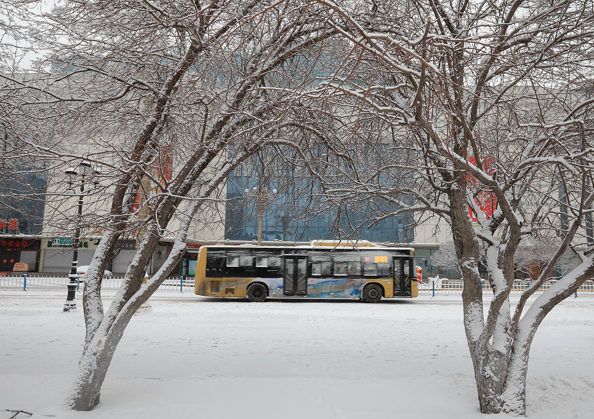 深入调查蜜雪冰城的绩效管理系统