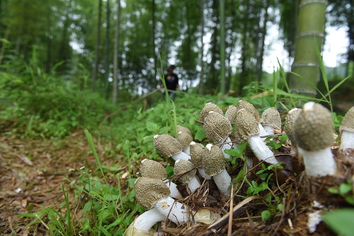 南平求助热线：为您提供全方位帮助