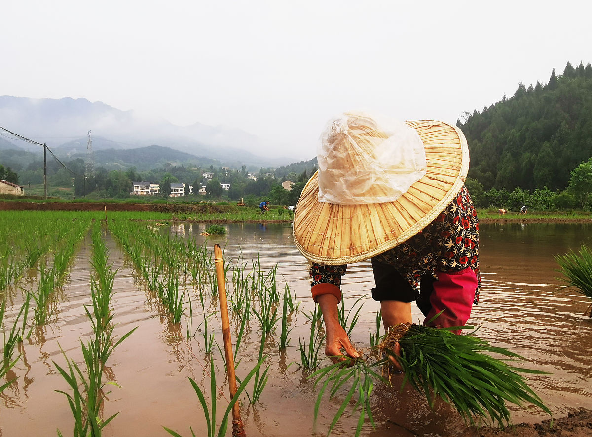 四川渠县职业学校2020年招生简章：报名方式、面试流程及专业分配