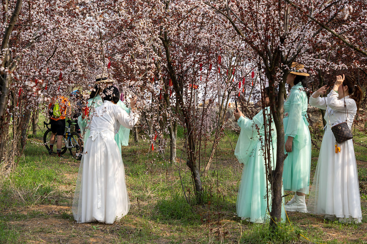 2022年3月15日,武汉市东西湖区八房塆东西湖大提附近,游人春季赏花.
