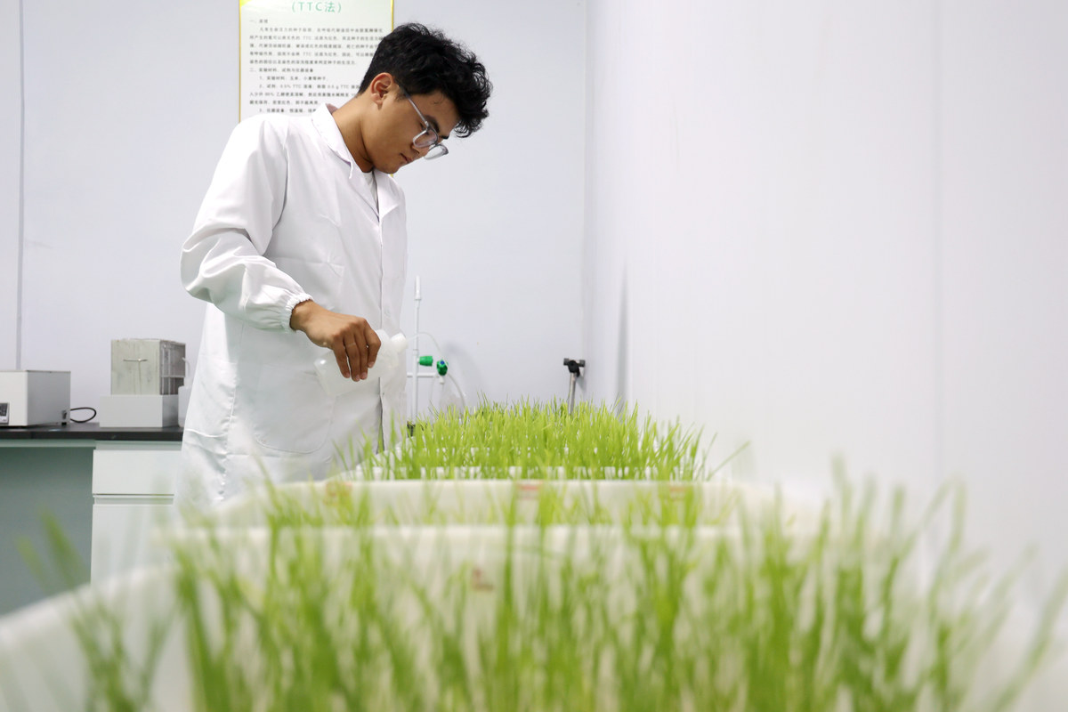 江西农业工程职业学院中草药栽培技术专业怎么样