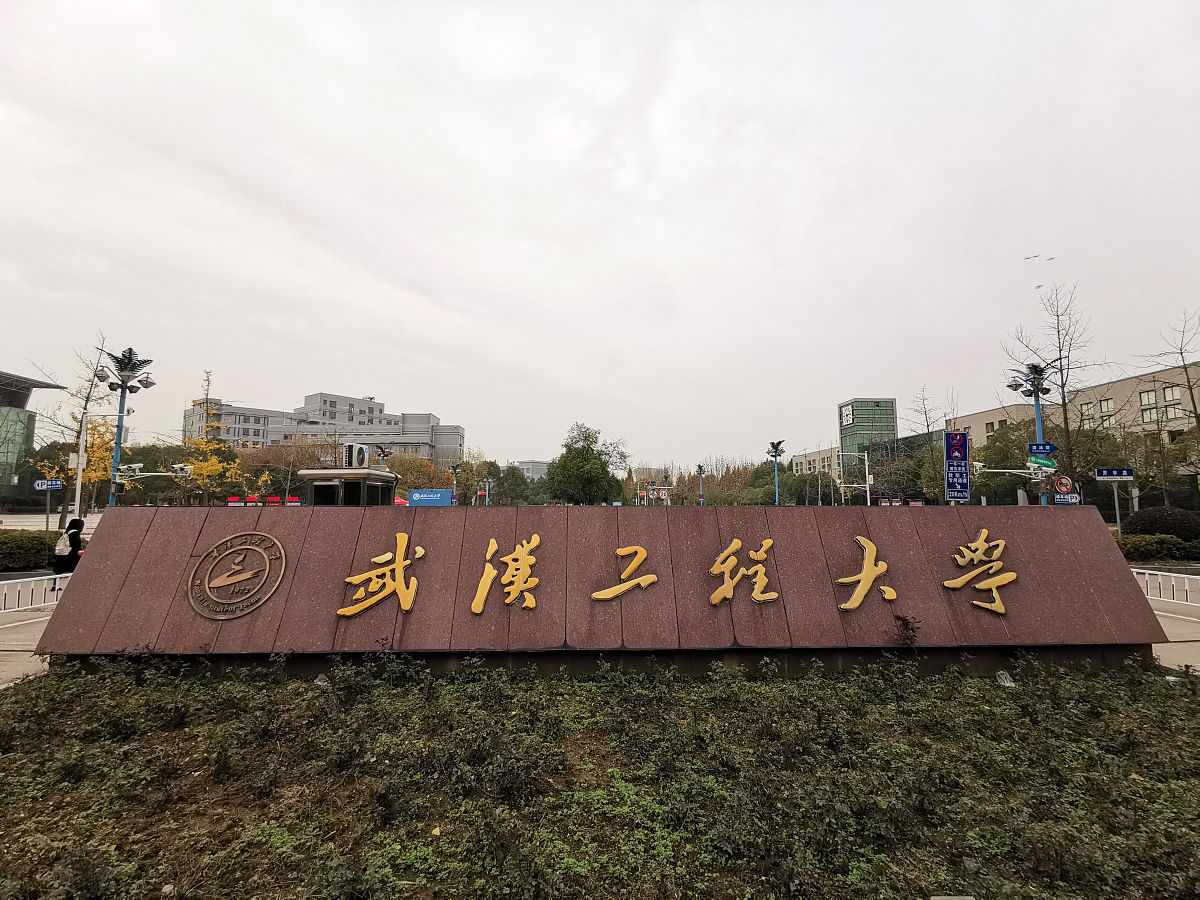 武汉工程科技学院：私立大学，高水平教育的引领者