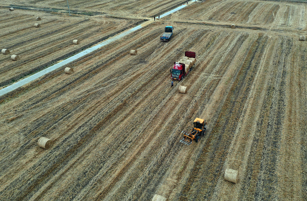 提升安全意识，共建平安家园：市总工会平安建设宣传月活动总结