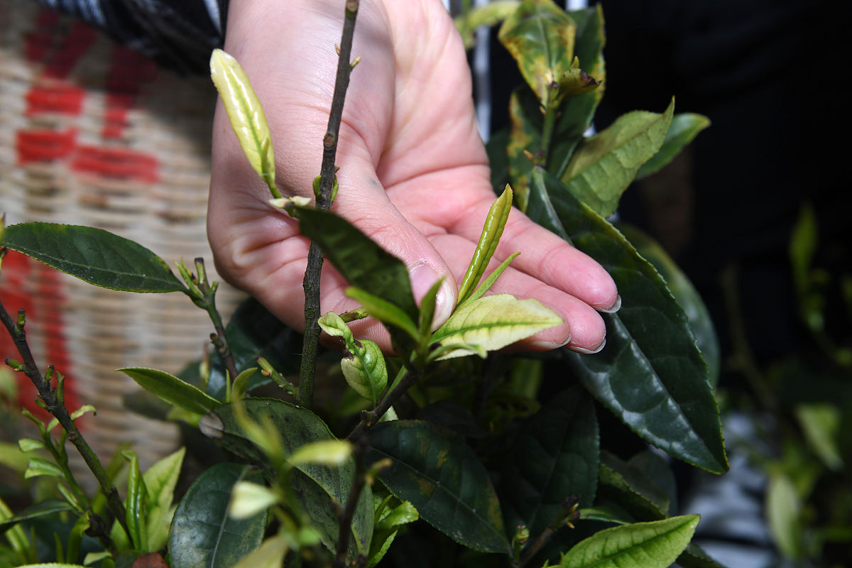 黔西南中专学校学什么比较好