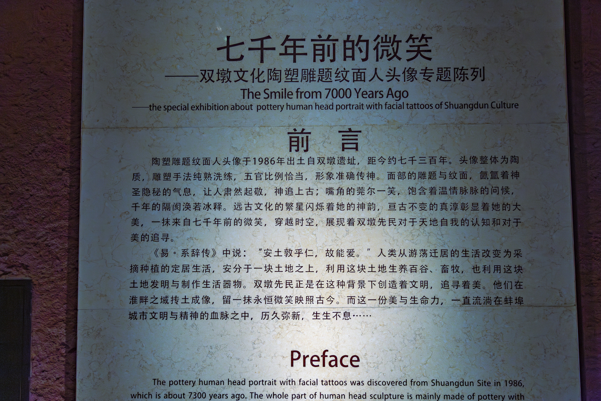 峥嵘岁月彪炳史册：回顾历史，展望未来