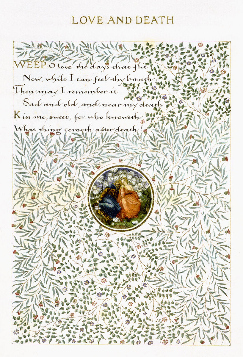 NATURE PROTOCOLS期刊现任主编