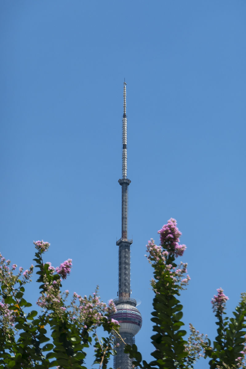 鞍山广播电视学校学前教育专业2023年招生前景分析