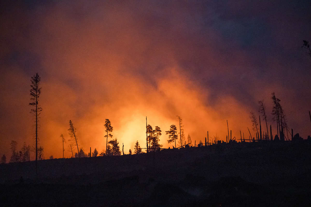 森林火灾等级分为几个等级，