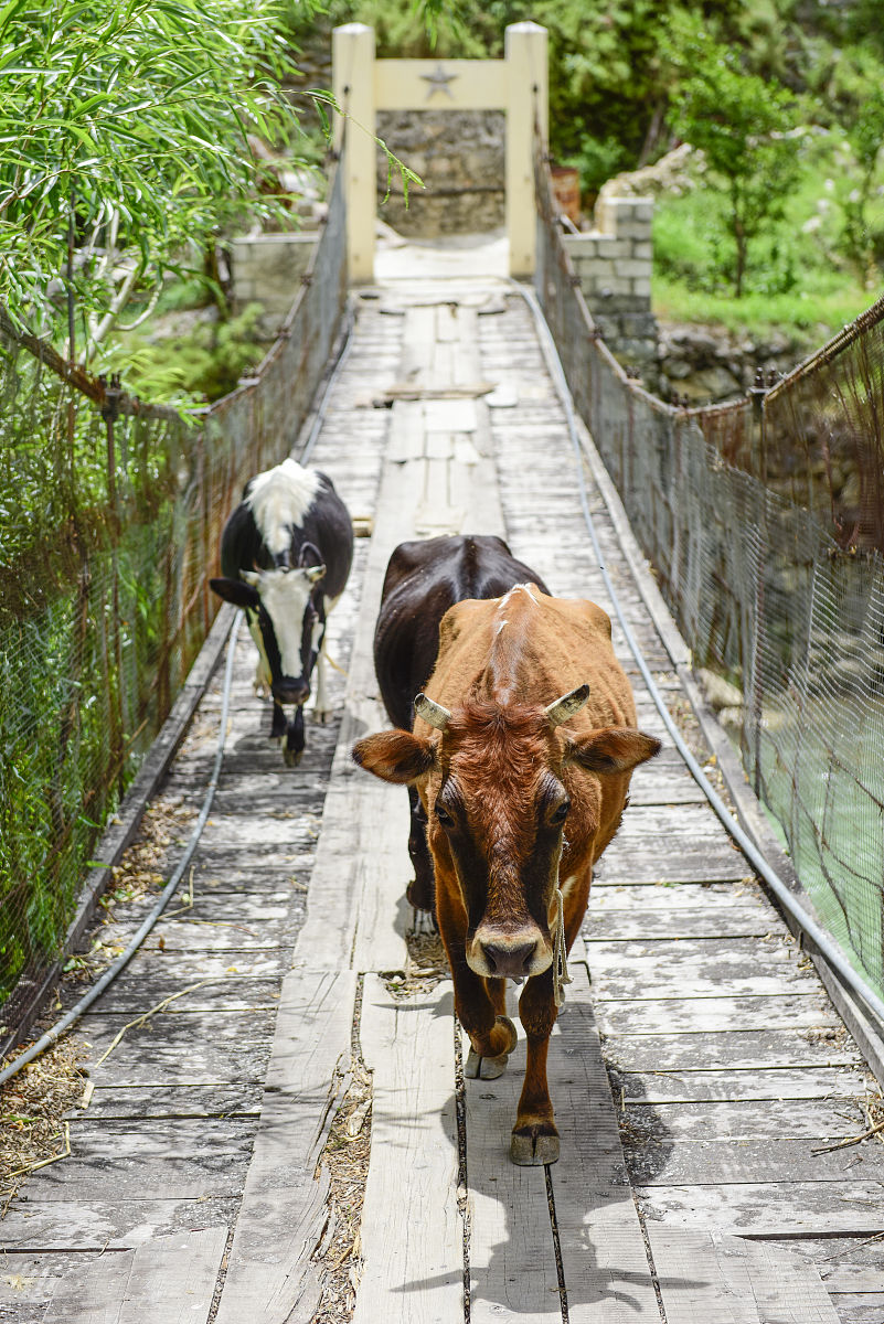 2016年6月6日,云南迪庆,茶马古道上的漆器村落,上桥头村.
