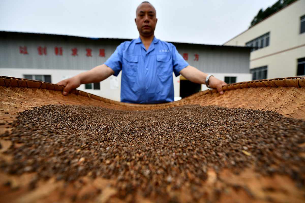 贵州职校农业综合技术专业就业前景好不好？好就业吗