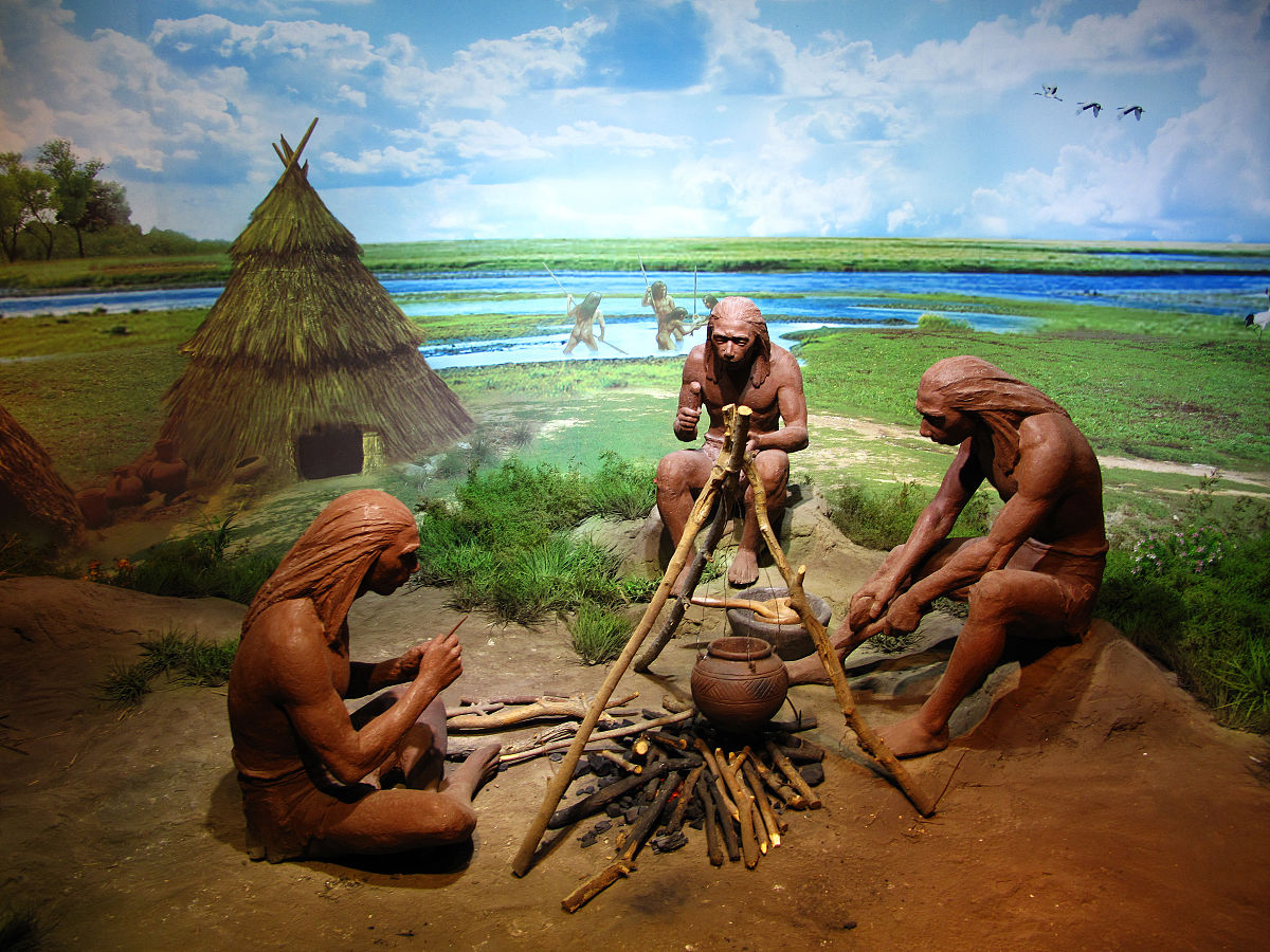 他充分地展示了一个现代城市居民初入原始部落时的（）。补充括号