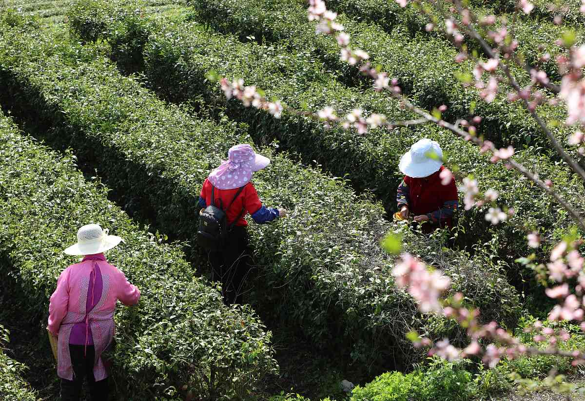 2022年张家界机电机械学校招生简章 - 机电类人才培养摇篮