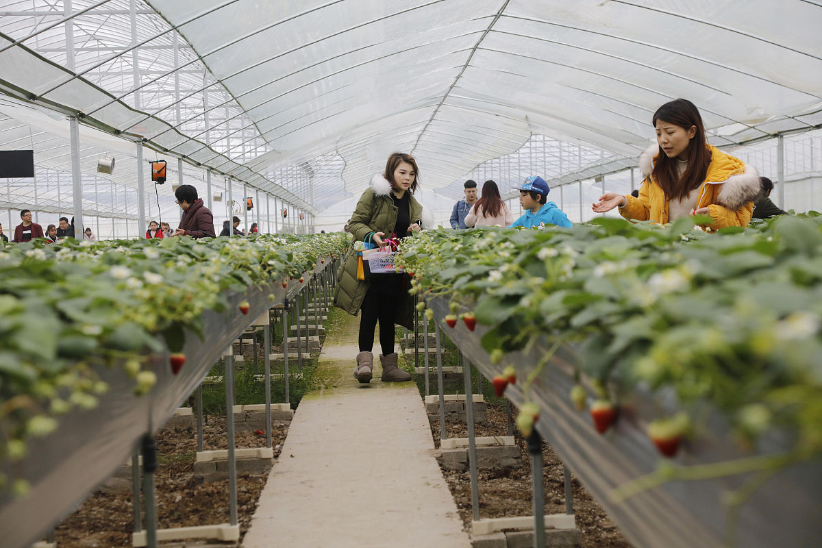 阜阳经贸旅游学校果蔬花卉生产技术怎么样？
