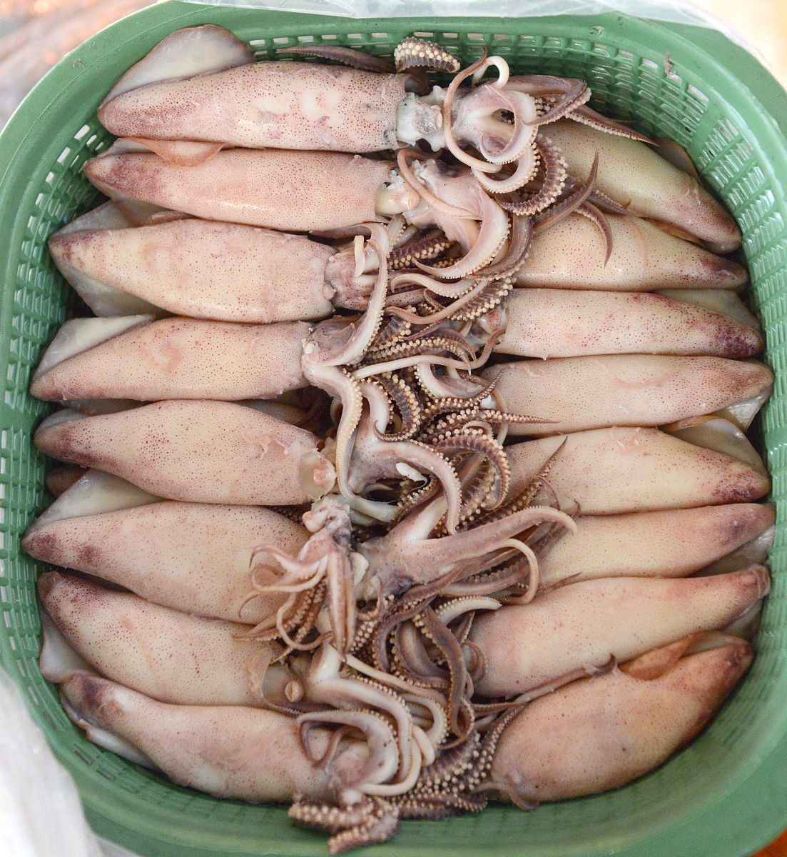 鱿鱼有什么价值