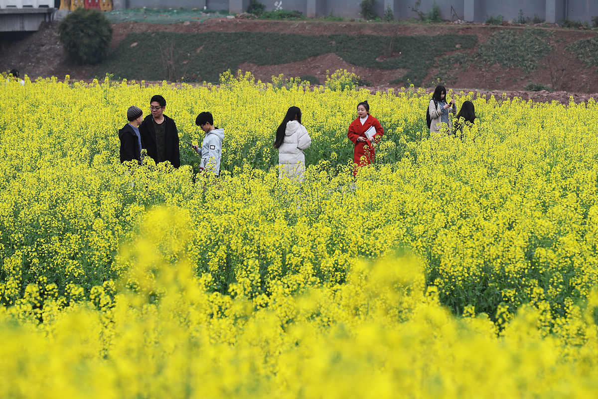湖南商务职业技术学院物流管理专业怎么样？就业前景及课程解析