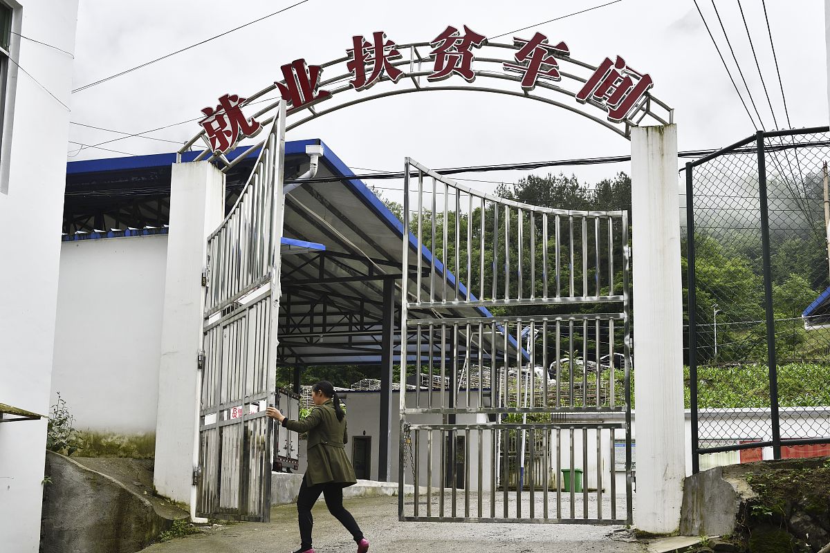 重庆财政学校毕业生就业情况介绍 - 高就业率和广泛就业方向
